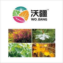 如何選定一個靠譜北京營銷策劃公司｜以福來品牌實戰經驗為例，升級你的全案戰略